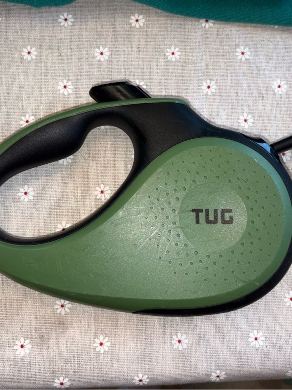 Retractable Dog Leash in Green